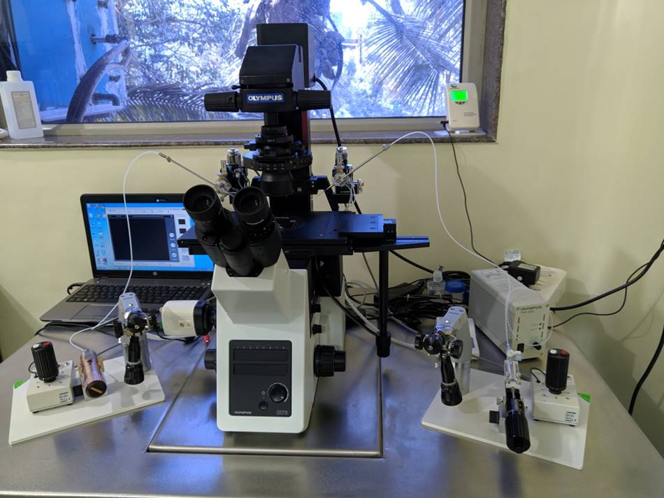 Reproductive Medicine and Surgery (IVF)
